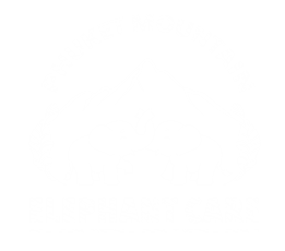 Phuket Mountain Elephant Care